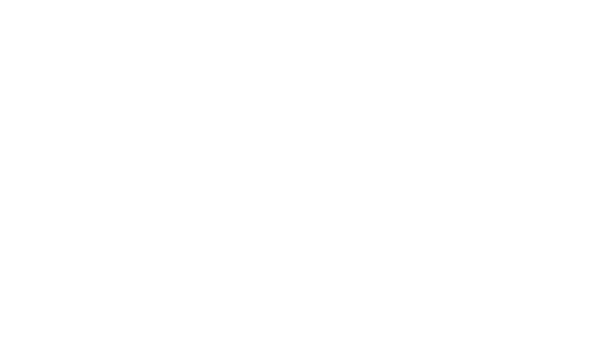 KLM_SOLO_PMS299-2010-Converted_WIT